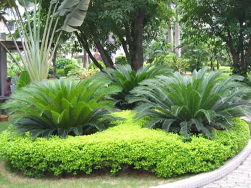 假山景觀(guān)設計